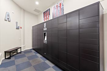 Electronic parcel locker system