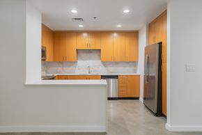 Dallas apartment for rent - Wood cabinetry in units - Main 3 Downtown