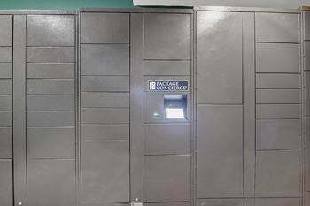 Electronic parcel locker system