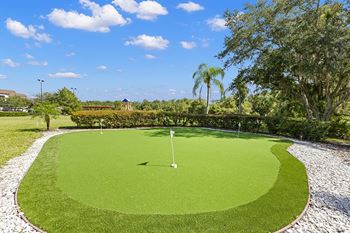 Putting/chipping green