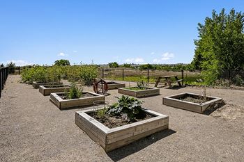 Community garden