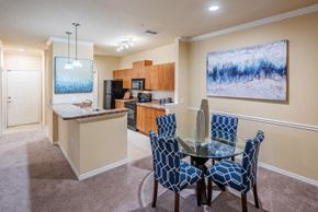 Wesley Chapel apartment for rent - Delano at Cypress Creek apartment kitchen