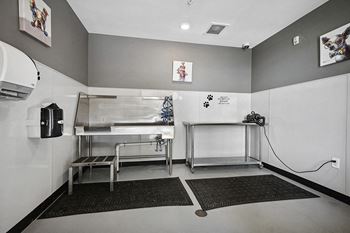 Pet spa
