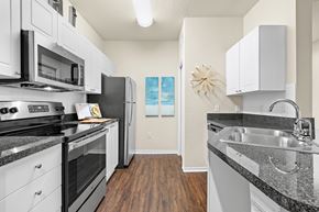 Brandon apartment for rent - Stainless steel appliances - Asprey at Lake Brandon Apartments