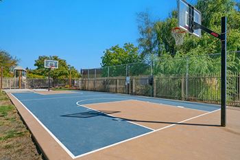 Basketball court