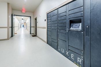 Electronic parcel locker system