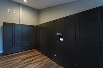 Electronic parcel locker system