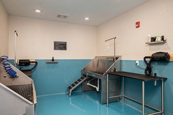 Pet grooming station