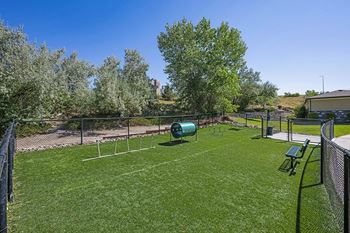 Pet park