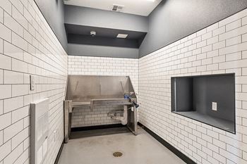 Arazo pet wash station