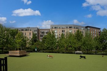 Proximity to the mile's amenities including a dog park, pond and outdoor walking paths