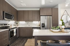 Castle Rock apartment for rent - a kitchen with stainless steel appliances and a white counter top
