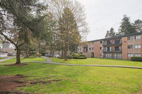 Surrey apartment for rent - A tree in a grassy area in front of apartment buildings.