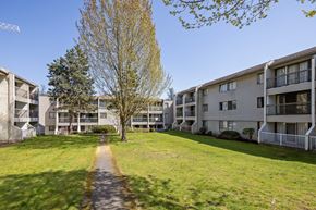 Surrey apartment for rent - A tree in front of apartment buildings.