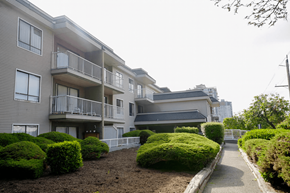 New Westminster apartment for rent - Apartment complex with a walkway and green bushes.