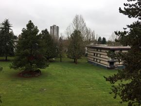 Surrey apartment for rent - A large grassy area with trees and a building in the background.