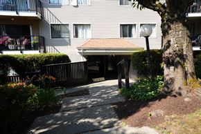 New Westminster apartment for rent - A tree is in front of a building.