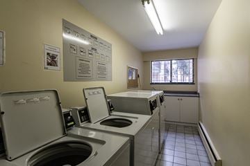Surrey apartment for rent - A small kitchen with a sink and a window.