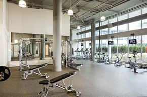 Richmond apartment for rent - A gym with a variety of equipment including treadmills, weights, and exercise bikes.