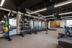 Colwood apartment for rent - a fitness room with weights and cardio equipment and a large window