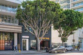 Los Angeles apartment for rent - A tree in front of a building with a sign that says "Studio".