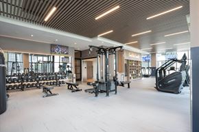 Chicago apartment for rent - A gym with a variety of equipment including treadmills, weights, and exercise machines.