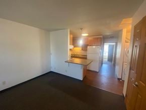 St. Paul apartment for rent - Living Room