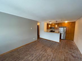 Minneapolis apartment for rent - Living Room