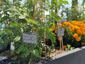 A sign in a garden requests people to help themselves.