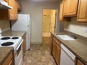 Monterey apartment for rent - a kitchen with a stove and a sink and a refrigerator