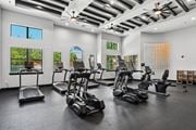 Lewisville apartment for rent - A gym with treadmills, elliptical machines, and a fan.