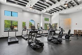 Lewisville apartment for rent - A gym with treadmills, elliptical machines, and a fan.