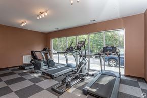 Fayetteville apartment for rent - A gym with treadmills, elliptical machines, and a checkered floor.