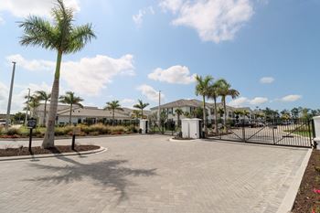 A driveway with palm trees and houses in the background