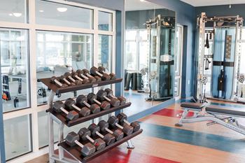 A spacious fitness center with cardio machines and weights