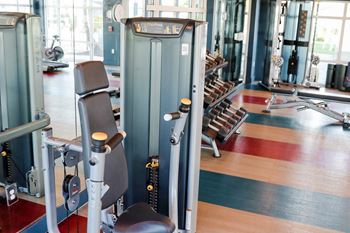 A gym with a variety of machines and weights