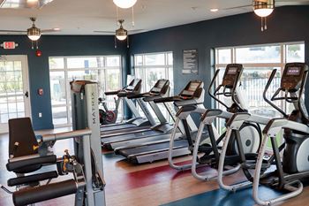 A row of treadmills and elliptical trainers in a gym