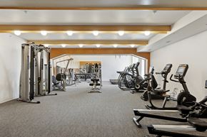 St. Paul apartment for rent - a gym with cardio equipment and weights on the floor