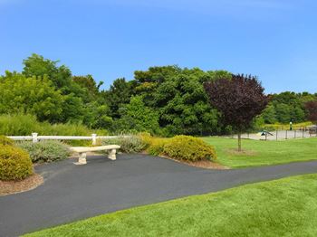 Pet park
