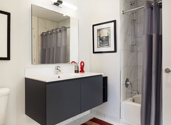 Fancy bathroom