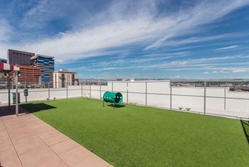 Dog park with agility equipment