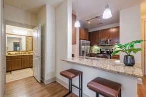 Dallas apartment for rent - luxury kitchen at Berkshire Medical District apartments