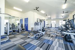 Rowlett apartment for rent - fitness center Reveal on the Lake apartments