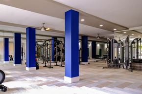 Lawrenceville apartment for rent - a gym with a lot of exercise equipment and blue pillars