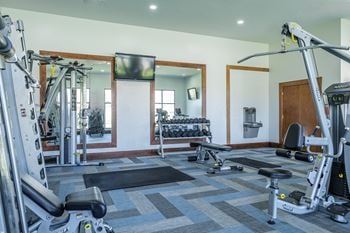 Free weights and strength training equipment