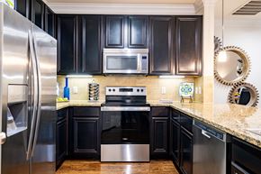 Magnolia apartment for rent - A kitchen with black cabinets and stainless steel appliances.