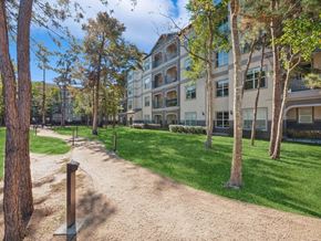 Conroe apartment for rent - A tree-lined pathway leads to a building.