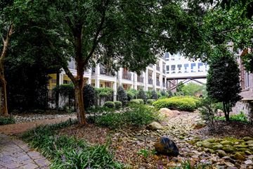 Durham apartment for rent - A garden with a path and a building in the background.