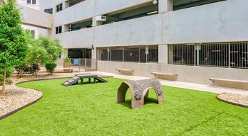 Pet-friendly leash-free pet park and pet spa