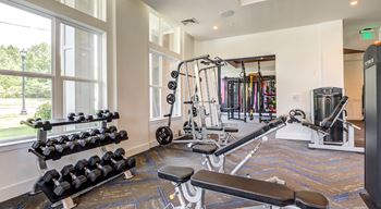 Free weights and trx strength training